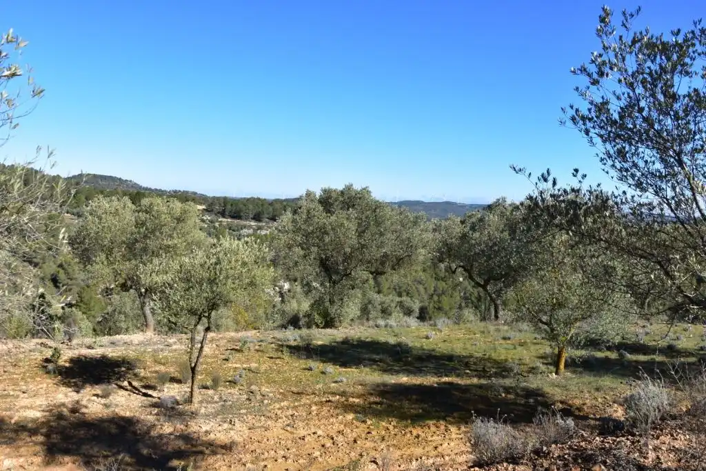 Finca rústica en venda en Arens de Lledó