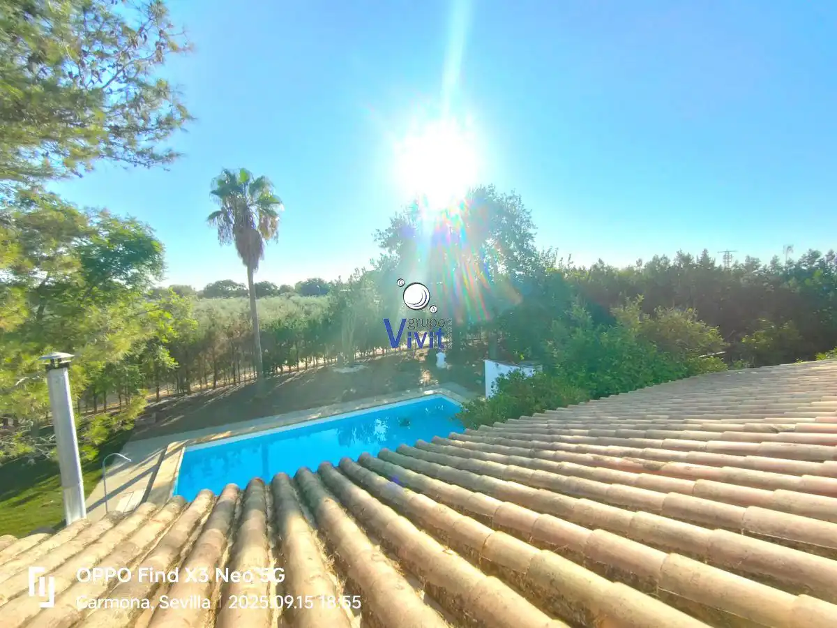 Vista exterior de Casa o chalet en venta en Carmona con Terraza y Trastero