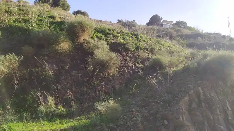 Land for sale in Frigiliana