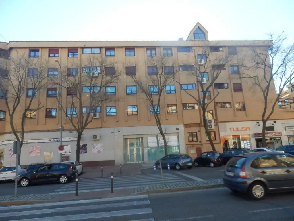 Business premises to rent in Norte