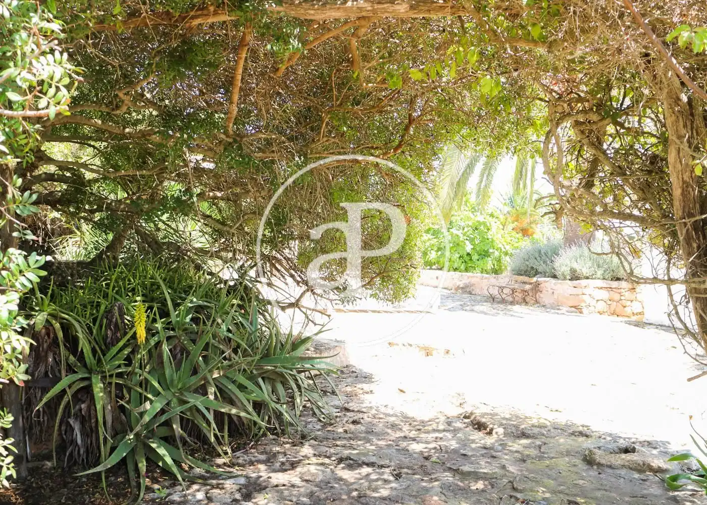 Jardín de Casa o chalet en venta en Formentera con Aire acondicionado, Calefacción y Jardín privado