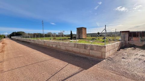 Finca edificable de 23.000 m2 entre Sa Pobla y Muro con vistas, imatge 3