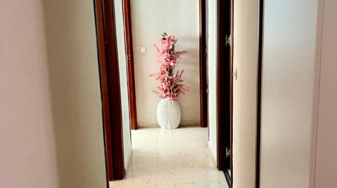 Foto 4 de Piso en venta en Plaza de Los Barcos, Cobreros Viejo, San Fernando