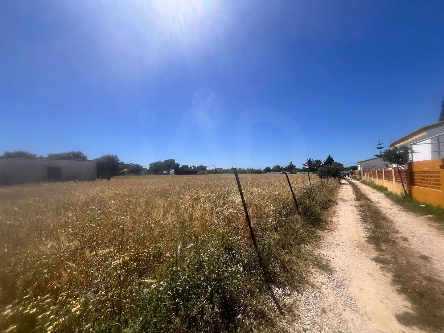 Rustikales Grundstück zum Verkauf in El Palmar, imagen 4