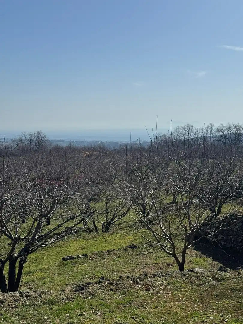 Finca rústica en venda en Garganta la Olla