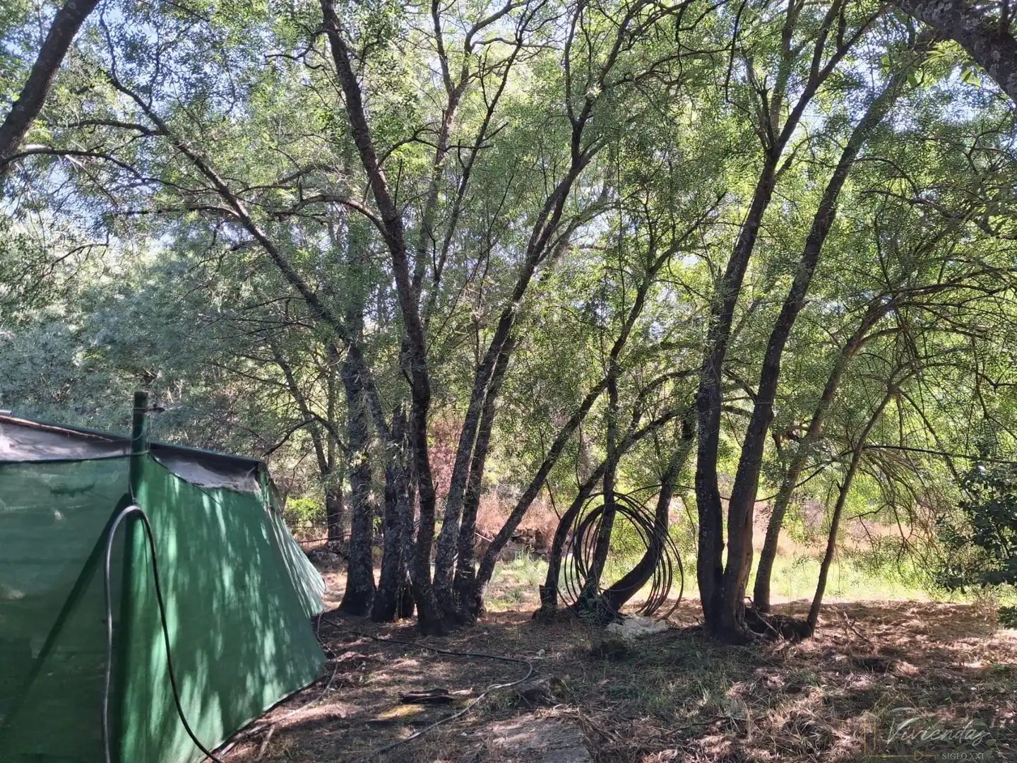 Vista exterior de Finca rústica en venta en Bustarviejo