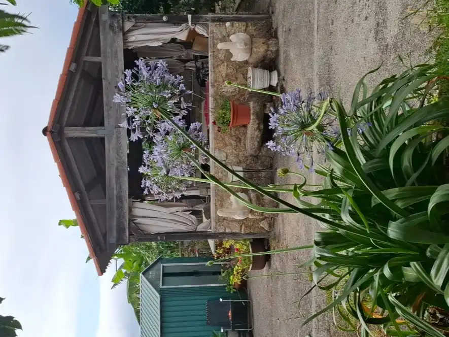 Jardín de Terreno en venta en Noia