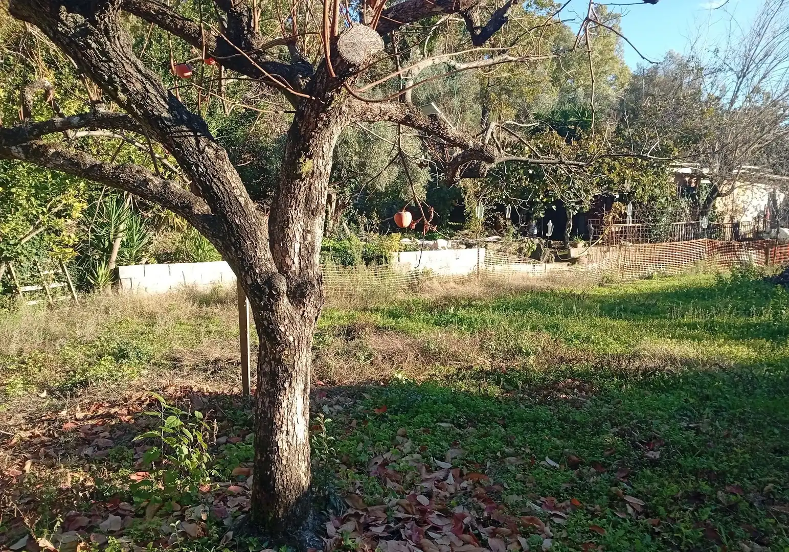 Terreni e lotti in vendita a Villanueva de la Vera, imagen 24