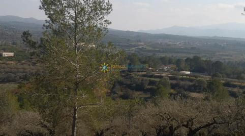 Foto 5 de Finca rústica en venta en L'Atzúbia, Alicante
