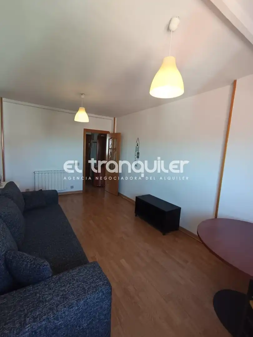 Living room of Flat for rent in Madrid  with Terrace and Furnished