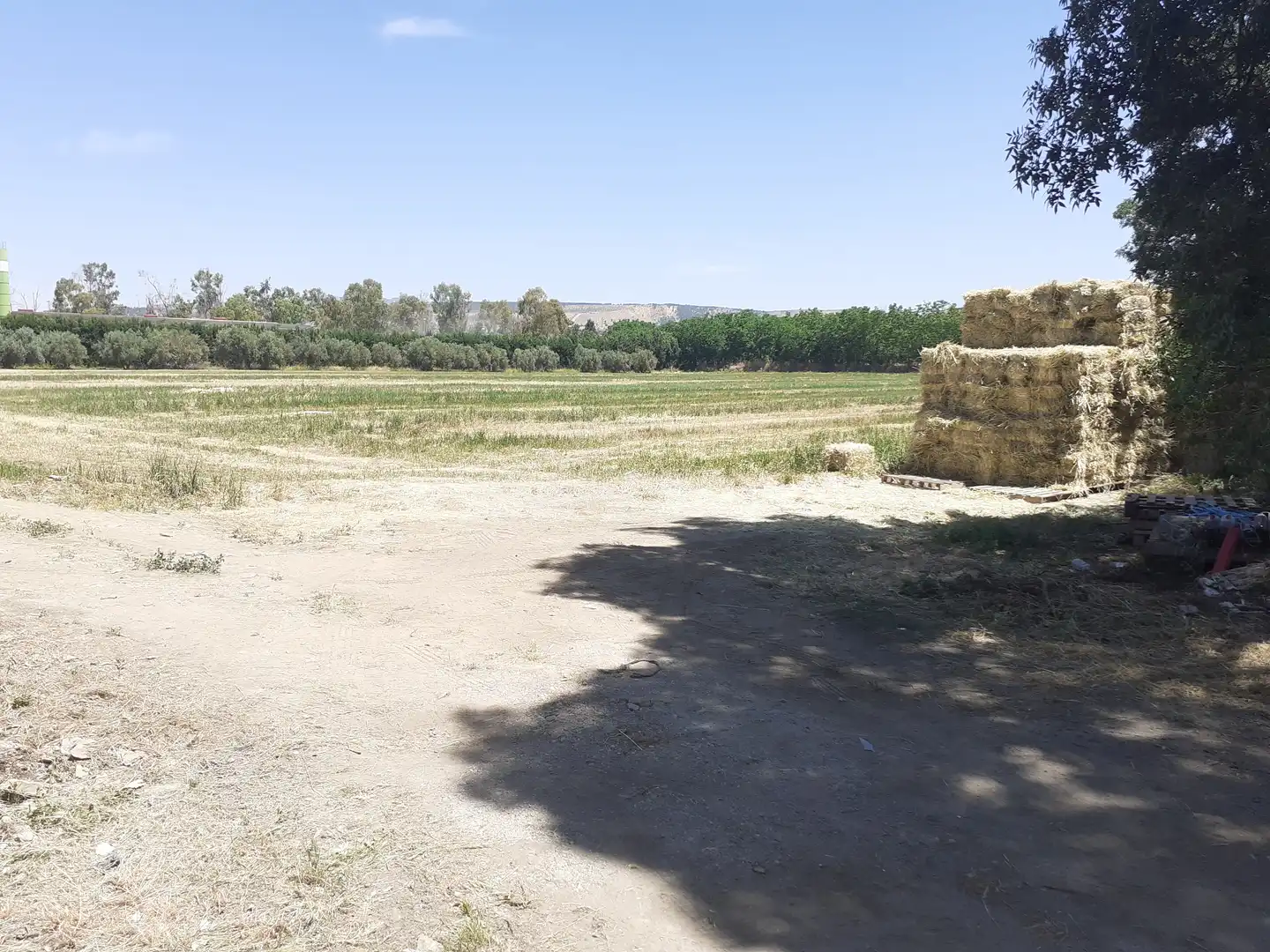 Country homes for sale in Granada