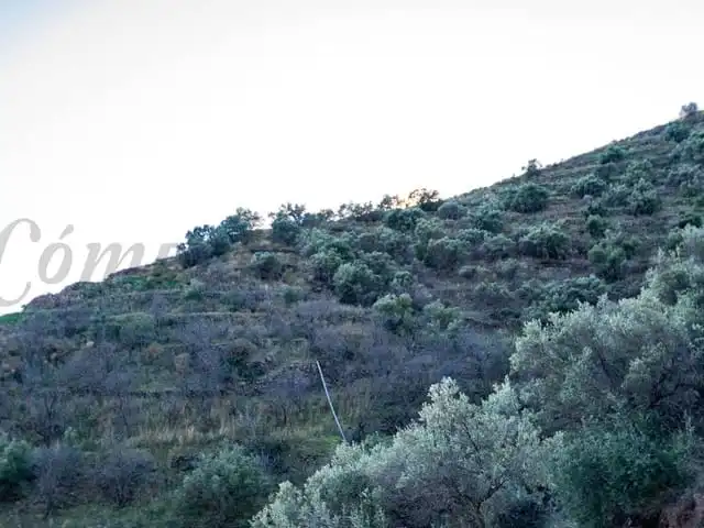 Terreni e lotti in vendita a Torrox Pueblo, imagen 6