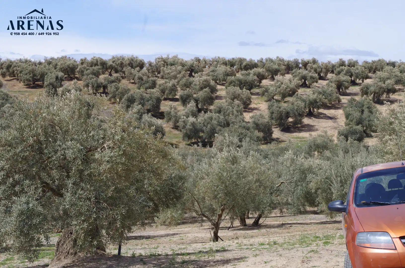 Residential land for sale in Íllora