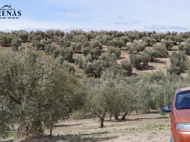 Terrain résidentiel à vendre à Íllora
