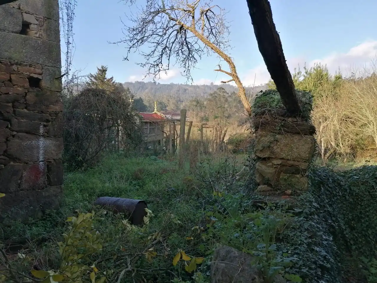 Country homes for sale in Brión