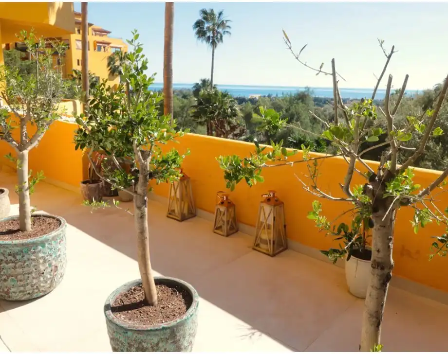 Flat with pool for sale in Selwo, imagen 2