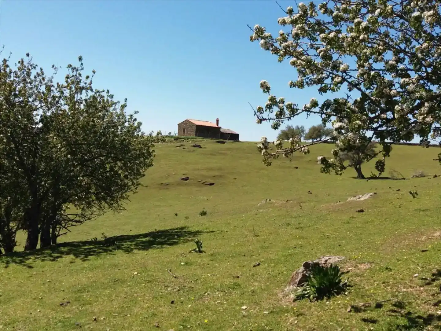 Terreno en venta en Serradilla