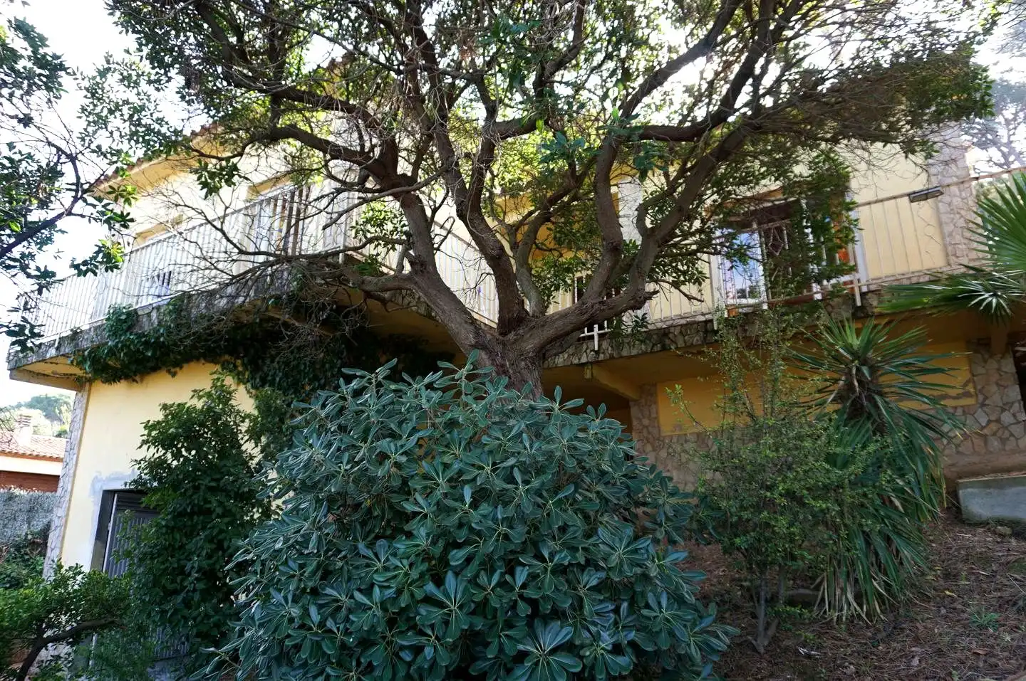 Maison avec jardin à vendre à Mas Mora - Sant Daniel, imagen 18