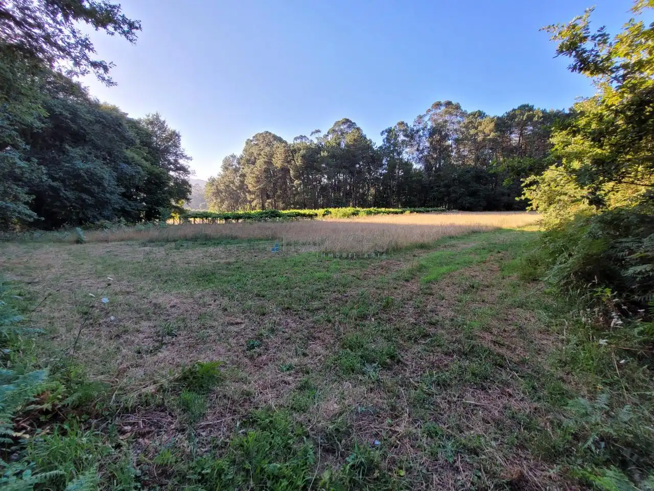 Terreno rustico in vendita a Tui, imagen 7