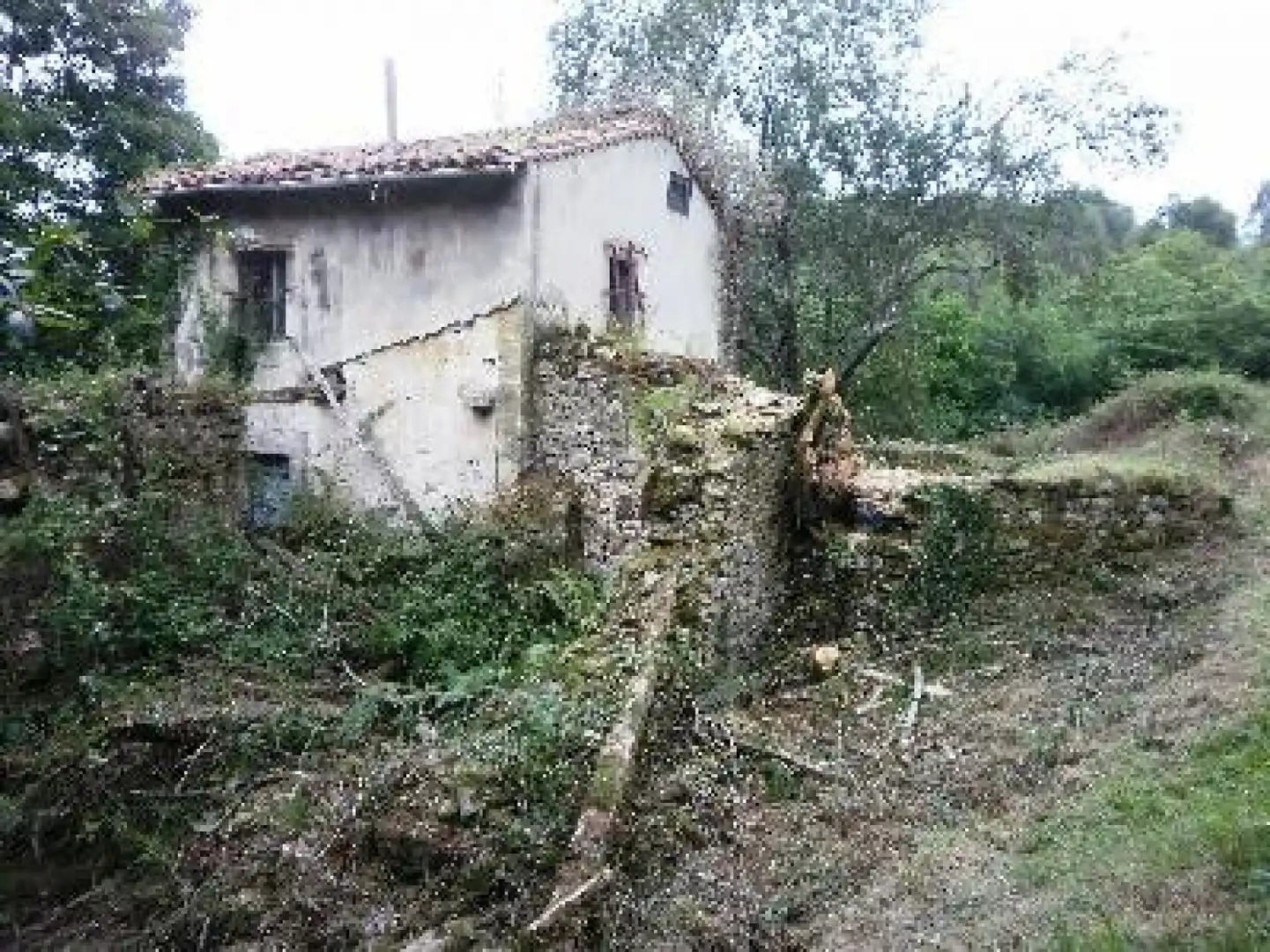 Houses for sale in Peñamellera Baja