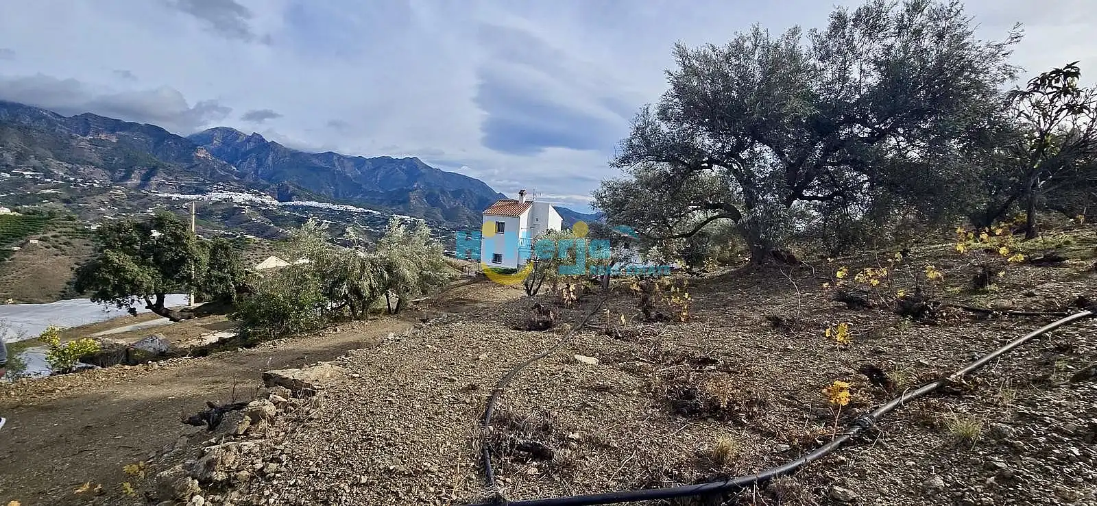 Casa rústica en venta en Torrox Pueblo, imagen 36