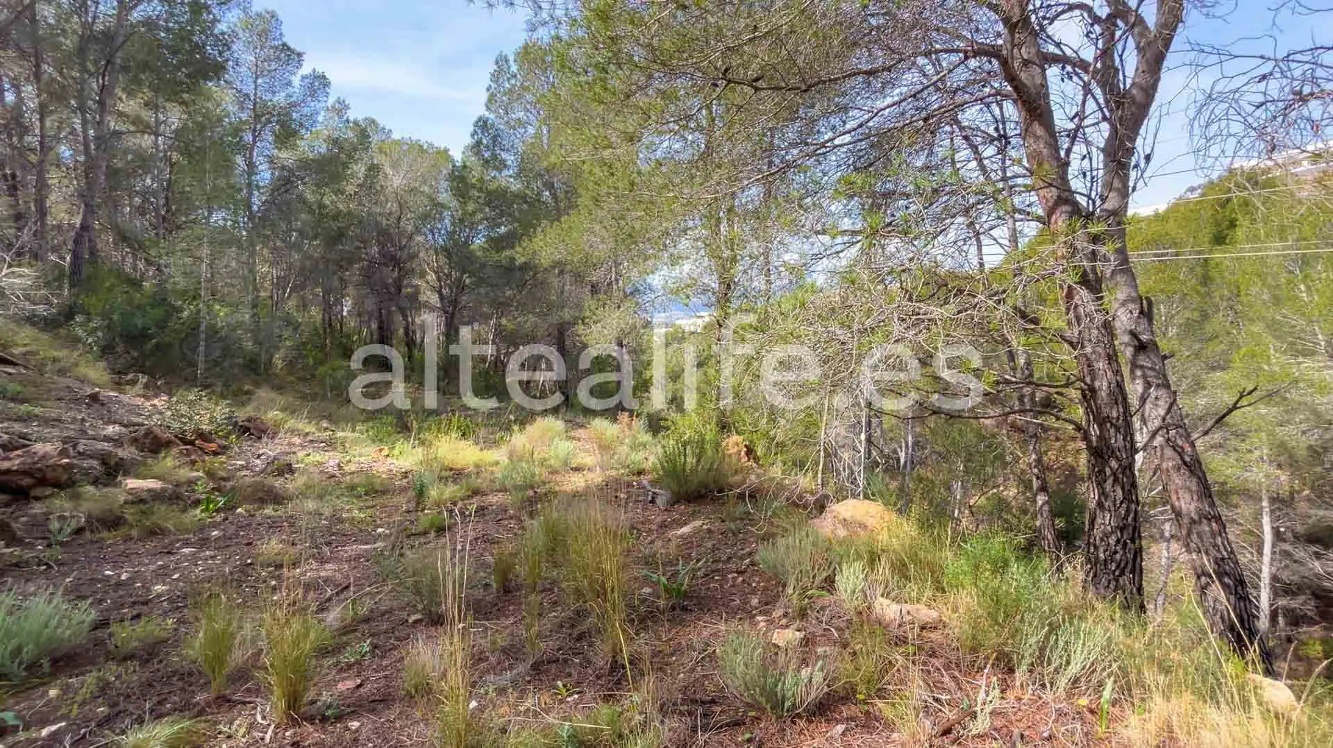 Terreny residencial en venda a Calle Erica, imagen 11
