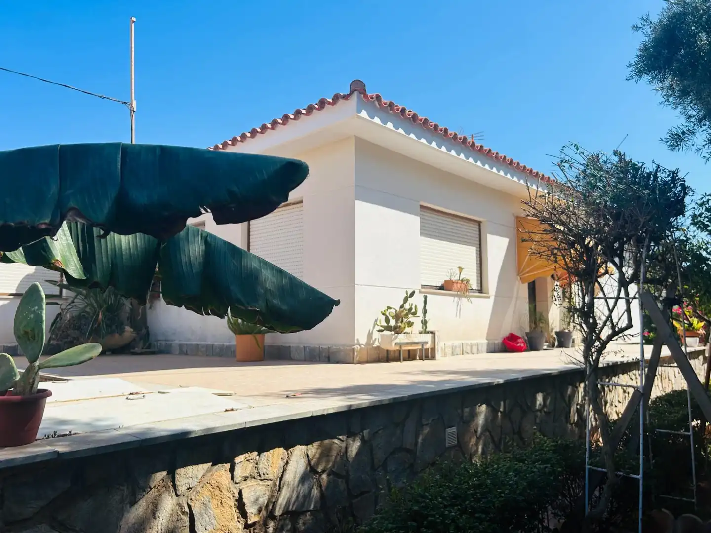Vista exterior de Casa o chalet en venta en Cartagena con Aire acondicionado, Jardín privado y Terraza