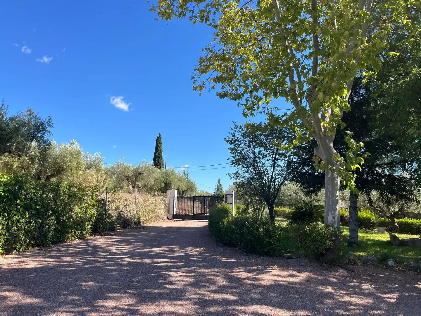 Maison avec piscine à vendre à Santa Ana, imagen 12