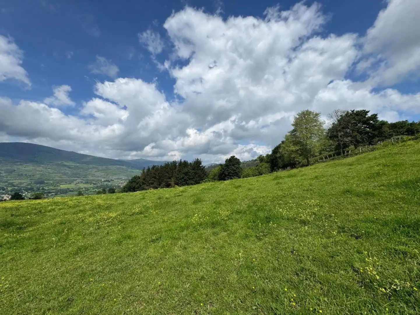 Land for sale in Molledo