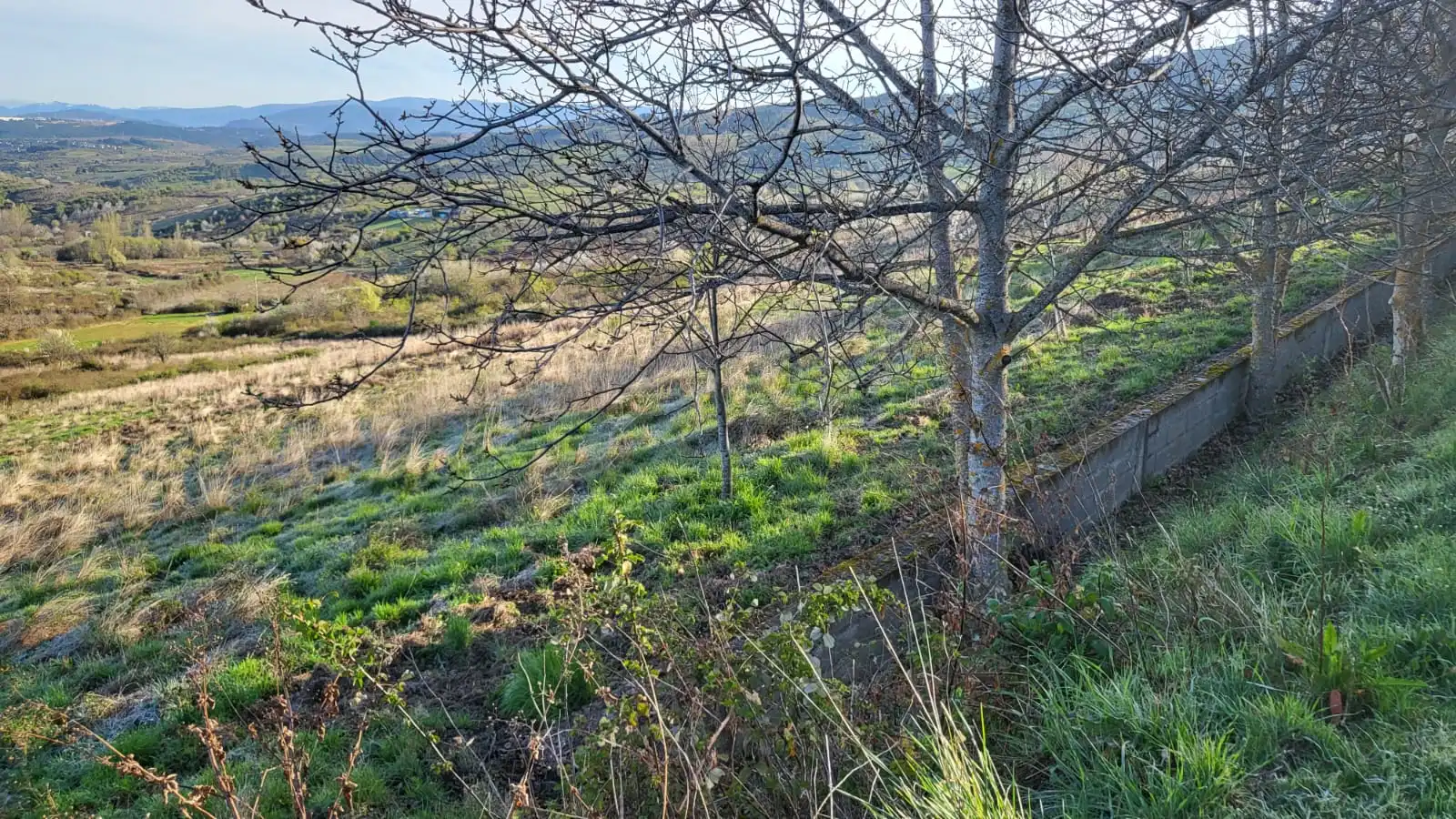 Terreni e lotti in vendita a Travesía Cuatro Calles 4, imagen 2