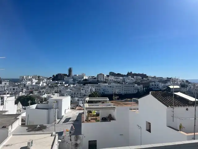 House for sale in Calle Juan de Sevilla 10