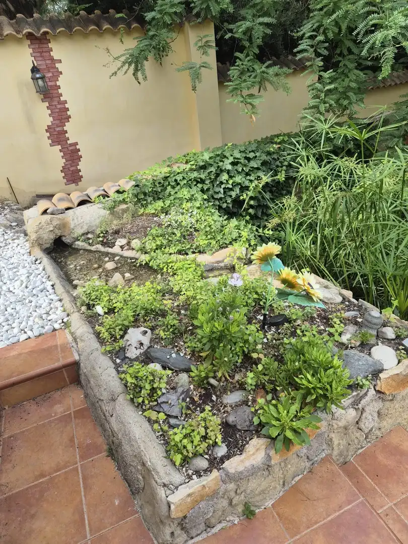 Jardí de Casa o xalet en venda en Alguazas amb Aire condicionat, Jardí privat i Moblat