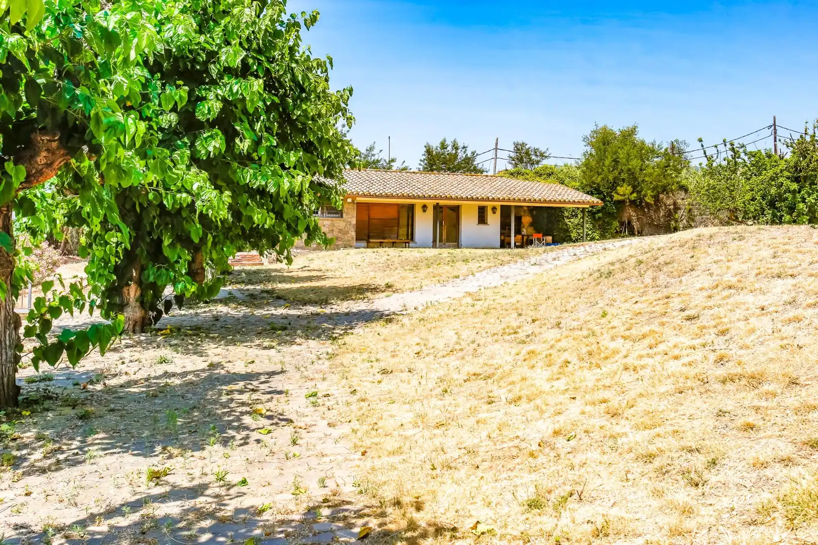 Finca rústica en venda a Carretera Carretera de la Mata, 76, El Palau - Escorxador