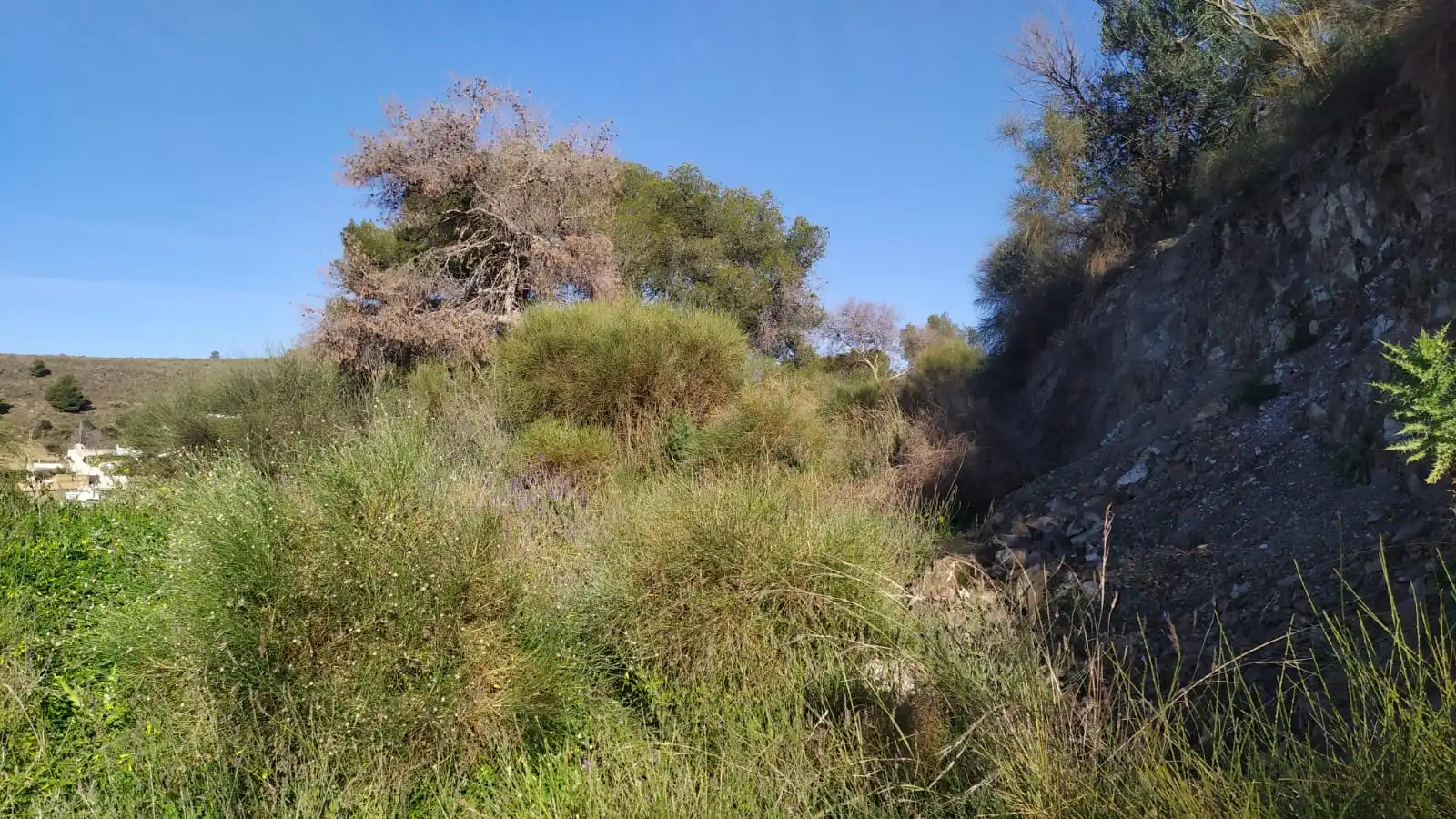 Terreni e lotti in vendita a Avenida de las Palmeras 66, imagen 12