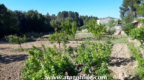 Photo 3 of Country house for sale in N/a, Calaceite, Teruel