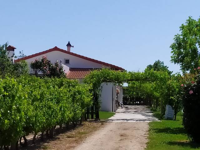 Casa-chalet en Venta en Fuente El Saz de Jarama
