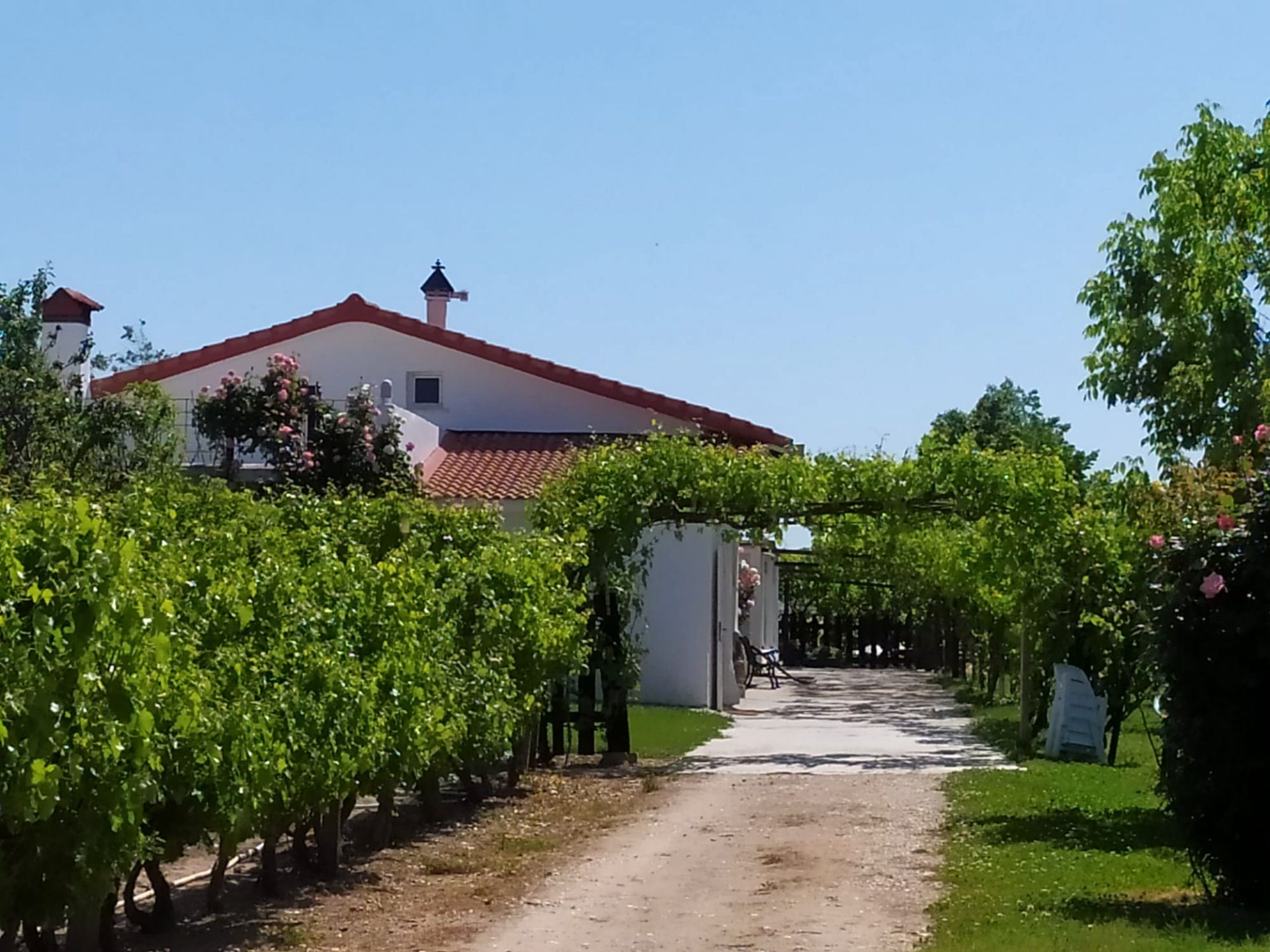 Casa o chalet en venta en Fuente El Saz de Jarama