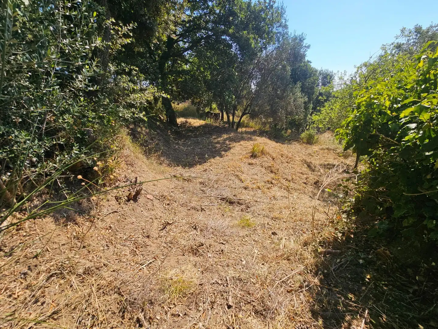 Finca rústica en venda en Riells i Viabrea amb Jardí privat i Traster