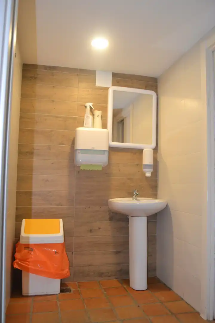 Bathroom of Commercial properties for sale in Aisa