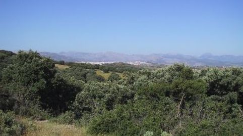 Foto 3 de Terreno en venta en Partidas Norte, Ronda