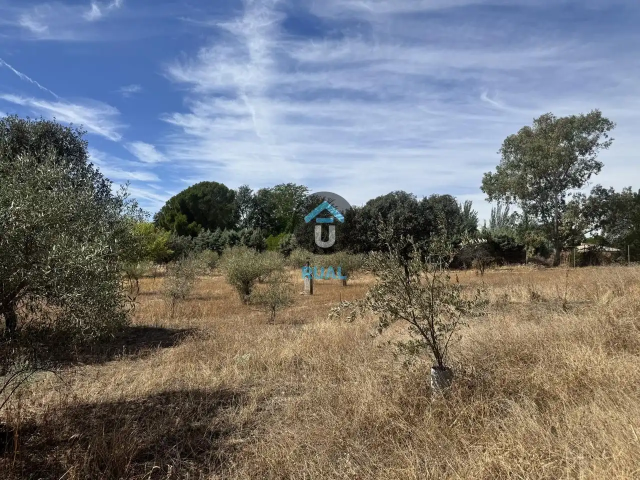 Haus mit Garten zum Verkauf in Calle del Cabo de Rosas, imagen 36