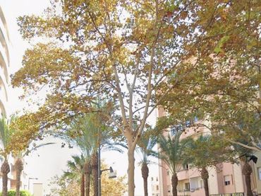 Appartamento con balcone in vendita a El Ejido Ciudad