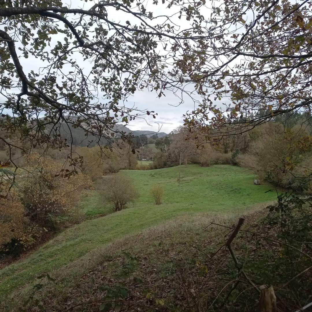 Terreno en venta en Los Corrales de Buelna 