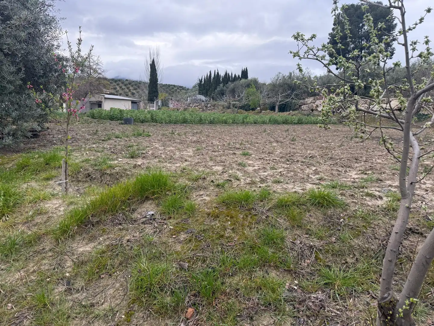 Houses for sale in Jaén  with Private garden