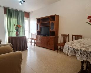 Living room of Flat for sale in Pozoblanco  with Furnished