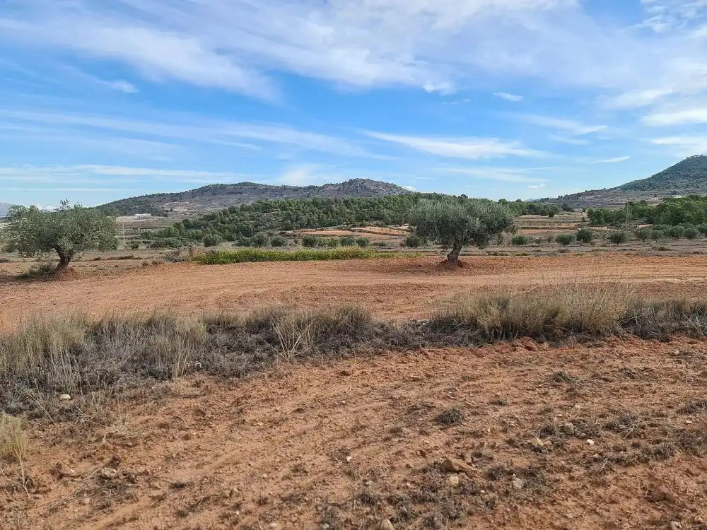 Terreno residencial en venta en El Pinós / Pinoso, imagen 3