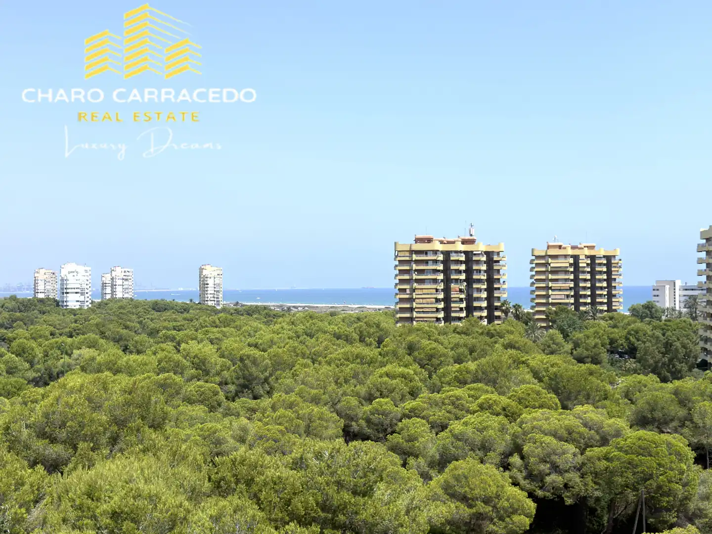 Vista exterior de Pis de lloguer en Valencia amb Aire condicionat, Jardí privat i Terrassa