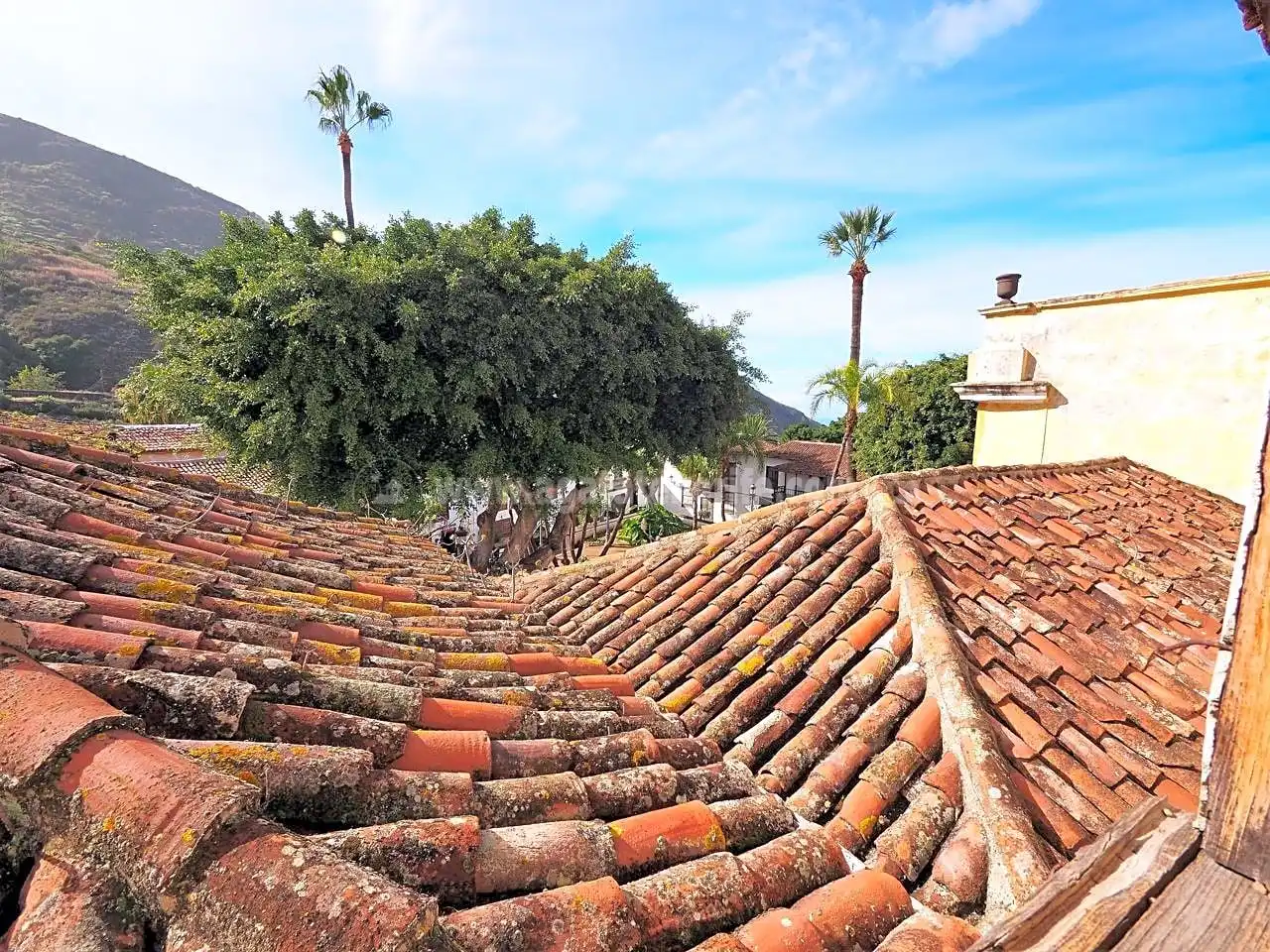Vista exterior de Casa o xalet en venda en Icod de los Vinos amb Jardí privat