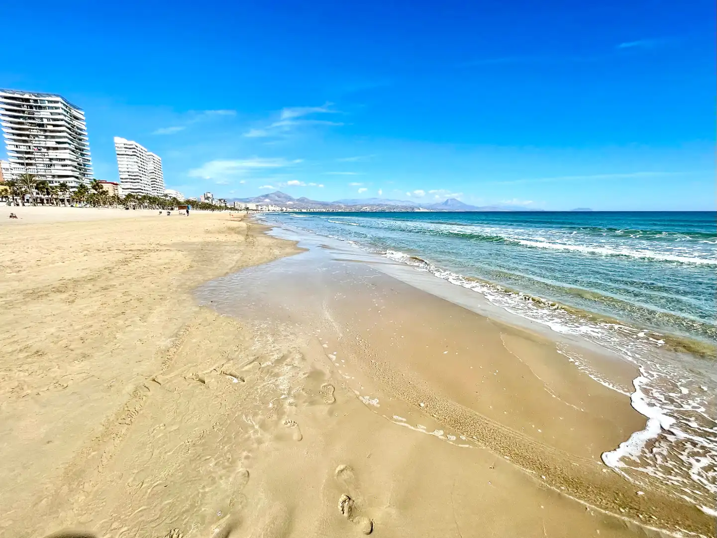 Vista exterior de Casa o xalet en venda en Alicante / Alacant amb Aire condicionat, Calefacció i Jardí privat