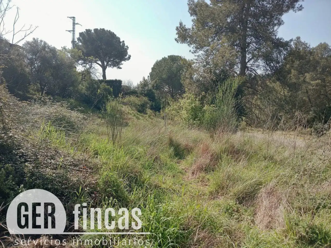 Rural land for sale in Calle Calera